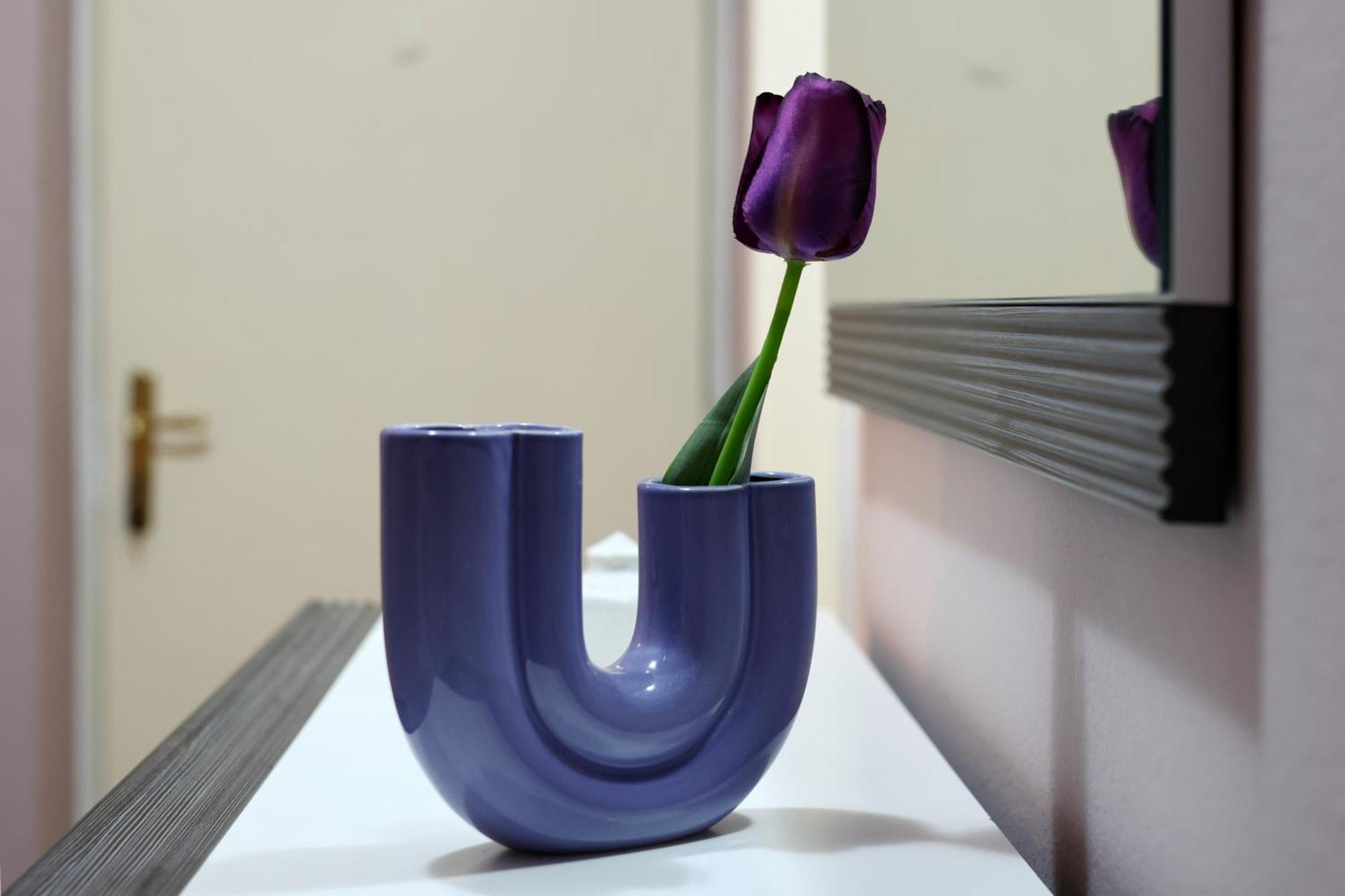 City Apartment Marcela Ζαντάρ Εξωτερικό φωτογραφία